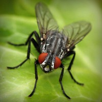 /album/woodbthumpmislya/photolia-a01-jpg/