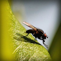 /album/woodbthumpmislya/photolia-a04-jpg/