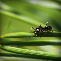 /album/woodbthumpmislya/photolia-a05-jpg/