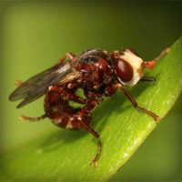 /album/woodbthumpmislya/photolia-a06-jpg/