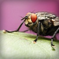 /album/woodbthumpmislya/photolia-a08-jpg/